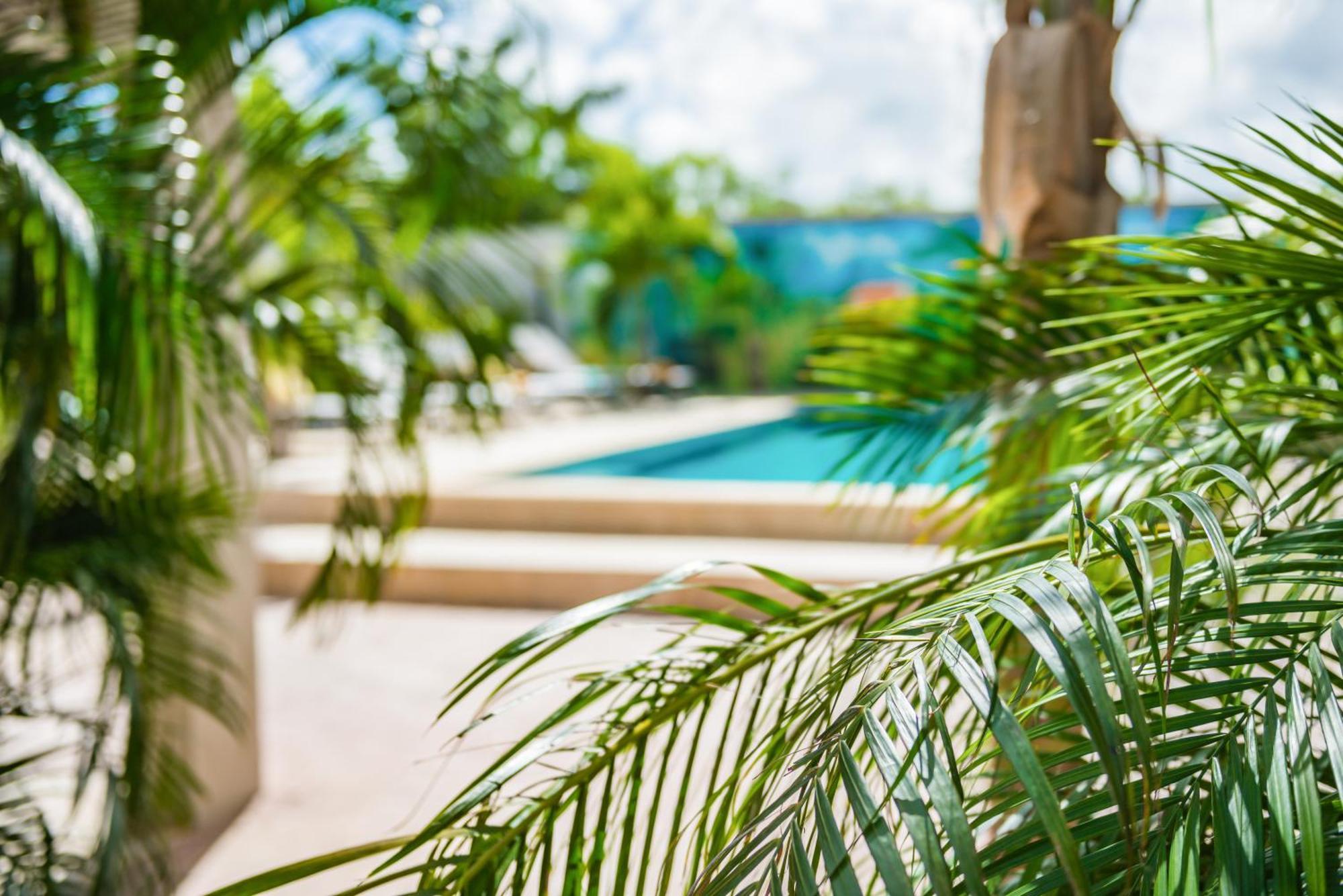 Casita Palma Boutique Resort Κράλεντικ Εξωτερικό φωτογραφία