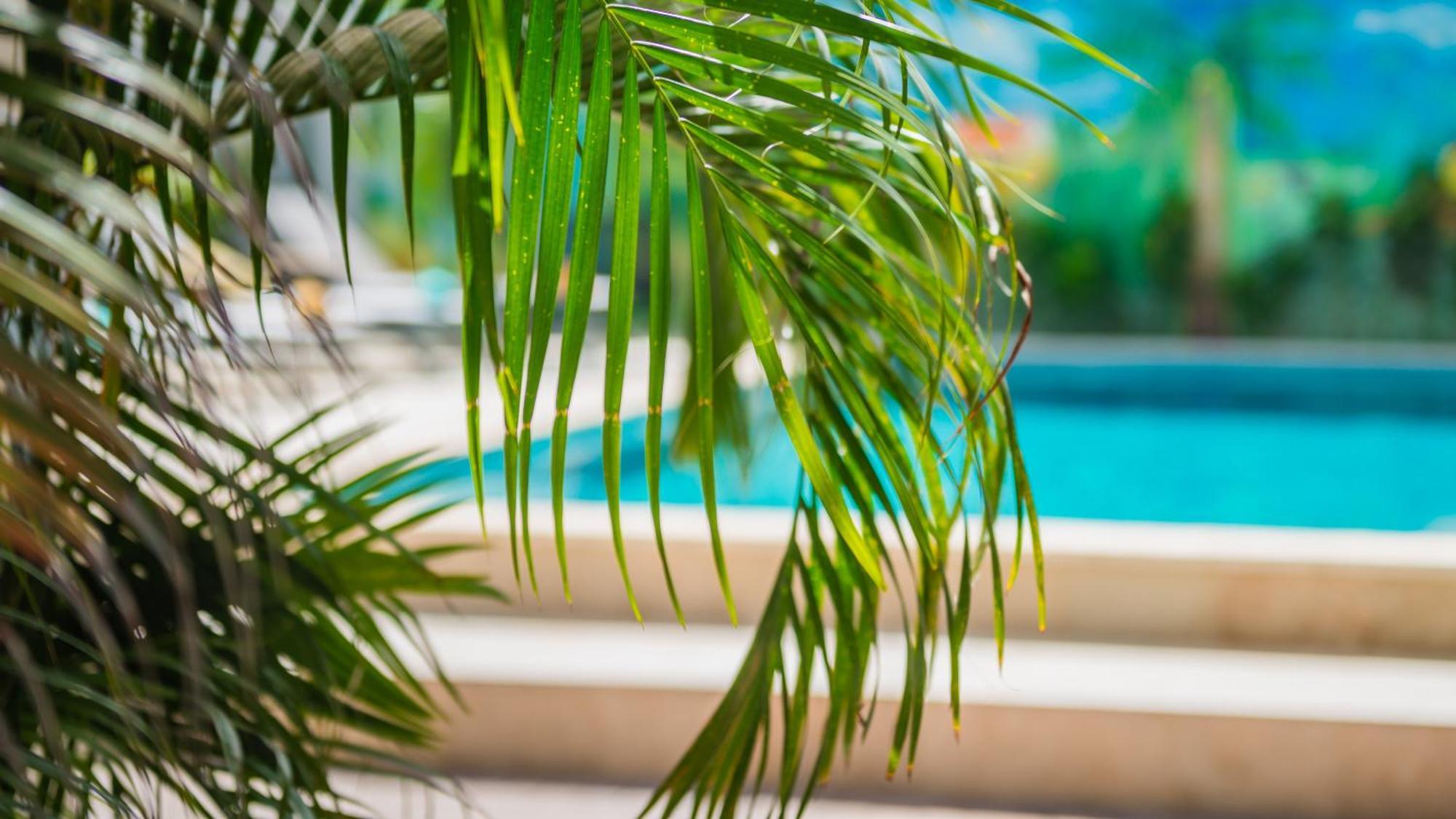 Casita Palma Boutique Resort Κράλεντικ Εξωτερικό φωτογραφία